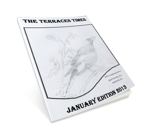 Terraces Times Author Interview